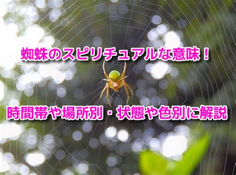 風水 蜘蛛|蜘蛛のスピリチュアルな意味とは？朝蜘蛛や夜の蜘蛛、大きい蜘。